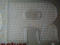 Norwegian passport - Engraving